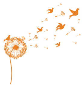 bienveillance et bien être  sophrologie